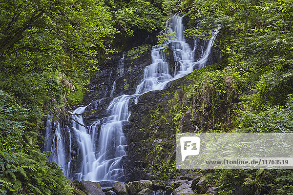 Torc-Wasserfall  Killarney-Nationalpark  bei Killarney  Grafschaft Kerry  Munster  Republik Irland  Europa