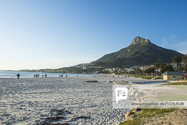 Waterfront of Camps Bay with the Lions Head in the background  suburb of Cape Town  South Africa  Africa