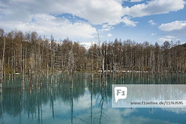 Blauer Teich (Aoi Ike)  Daisetsuzan-Nationalpark  UNESCO-Welterbe  Hokkaido  Japan  Asien