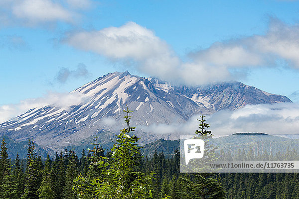 Mount St. Helens  Teil der Cascade Range  Region Pazifischer Nordwesten  Bundesstaat Washington  Vereinigte Staaten von Amerika  Nordamerika