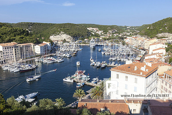Die grüne Vegetation umrahmt die mittelalterliche Stadt und den Hafen  Bonifacio  Korsika  Frankreich  Mittelmeer  Europa
