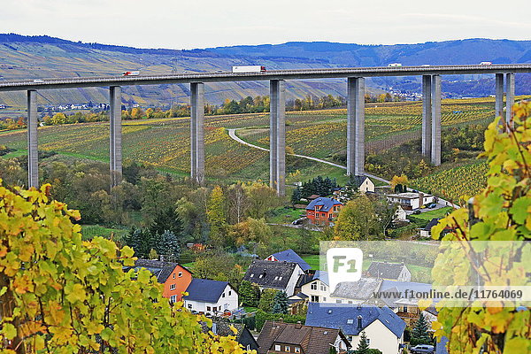 Autobahnbrücke der Autobahn A1 bei Fell  Moseltal  Rheinland-Pfalz  Deutschland  Europa