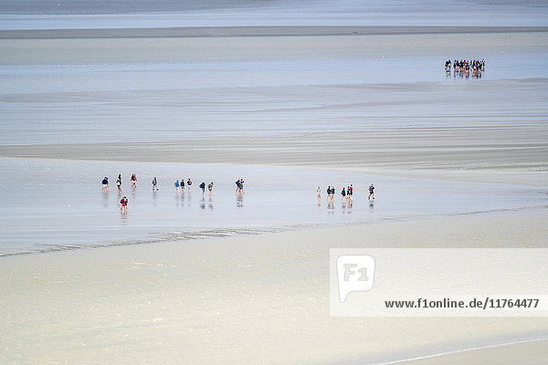 Spaziergänger auf dem Sand bei Ebbe  Mont-Saint-Michel  Normandie  Frankreich  Europa