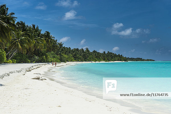 White sand beach and turquoise water  Sun Island Resort  Nalaguraidhoo island  Ari atoll  Maldives  Indian Ocean  Asia