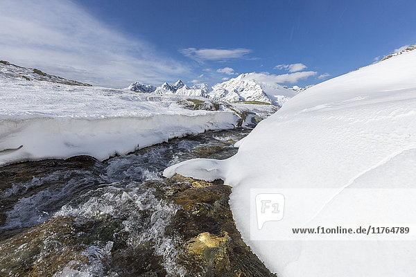 A creek in the snowy vallley with Monte Disgrazia in the background Malenco Valley Province of Sondrio Valtellina Lombardy Italy Europe