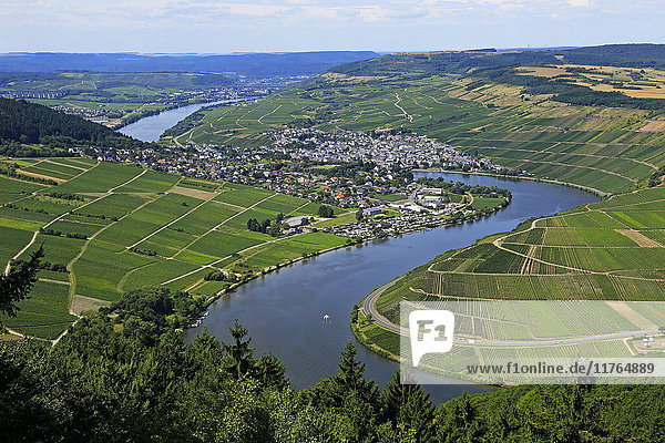 Moselle Valley near Mehring  Rhineland-Palatinate  Germany  Europe