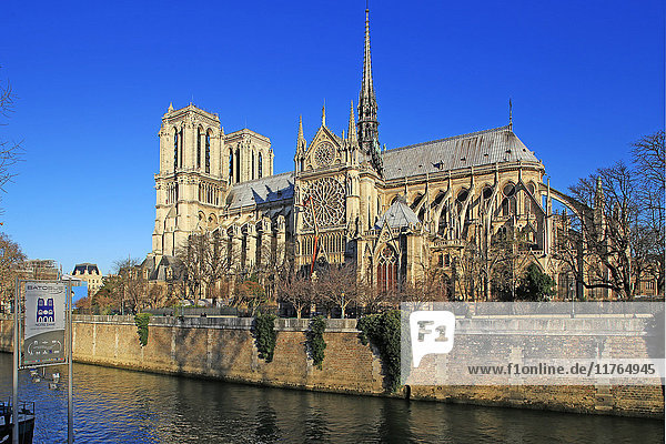 Seine mit der Kathedrale Notre Dame  UNESCO-Weltkulturerbe  Paris  Ile de France  Frankreich  Europa