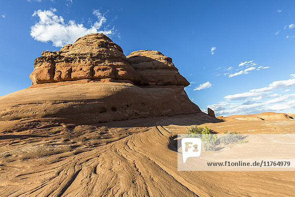 Felsformation auf dem Weg zum Delicate Arch  Arches National Park  Moab  Grand County  Utah  Vereinigte Staaten von Amerika  Nordamerika