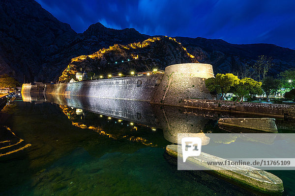 Ein Teil der alten Stadtmauer von Kotor und die beleuchteten Festungsmauern spiegeln sich in der abendlichen blauen Stunde  Montenegro  Europa