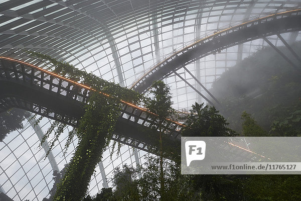 Inside the Cloud Forest biosphere at Gardens by the Bay  Singapore  Southeast Asia  Asia