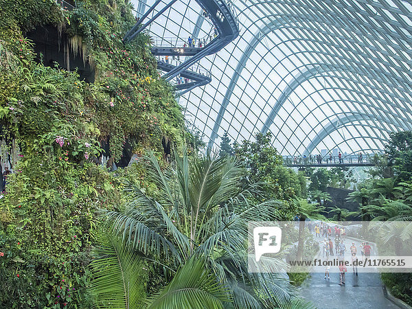 Indoor rainforest garden  Gardens by the Bay  Singapore  Southeast Asia  Asia