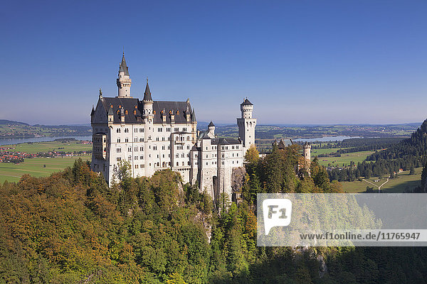 Schloss Neuschwanstein  Füssen  Allgäu  Allgäuer Alpen  Bayern  Deutschland  Europa