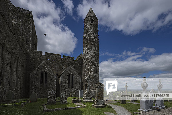 Rock of Cashel  Grafschaft Tipperary  Munster  Republik Irland  Europa
