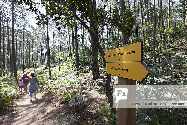 Wanderer in den Wäldern des Naturparks des Berges L'Ospedale  Piscia Di Gallo  Zonza  Südkorsika  Frankreich  Europa