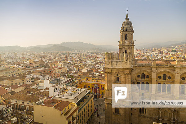 Blick auf die Kathedrale von Malaga  Malaga  Costa del Sol  Andalusien  Spanien  Europa