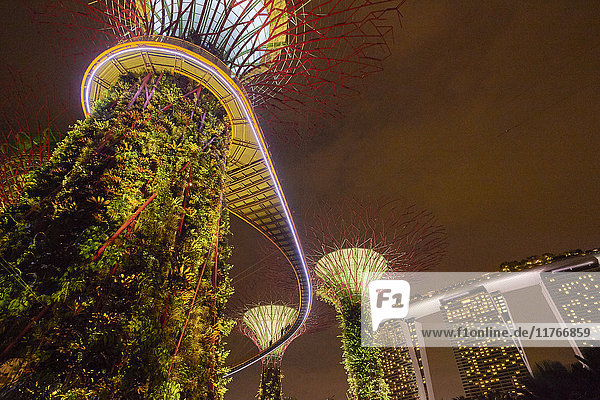 Garden Rhapsody music and lights show in the Supertrees at Gardens by the Bay  Singapore  Malaysia  Southeast Asia  Asia