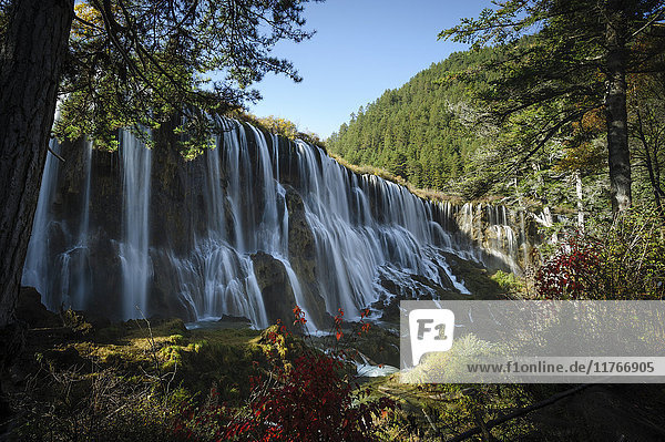 Wasserfall Pearl Shoal  Jiuzhaigou (Tal der Neun Dörfer)  UNESCO-Weltkulturerbe  Provinz Sichuan  China  Asien