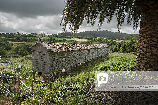 Horreo (Getreidespeicher aus Stein)  A Coruna  Galicien  Spanien  Europa