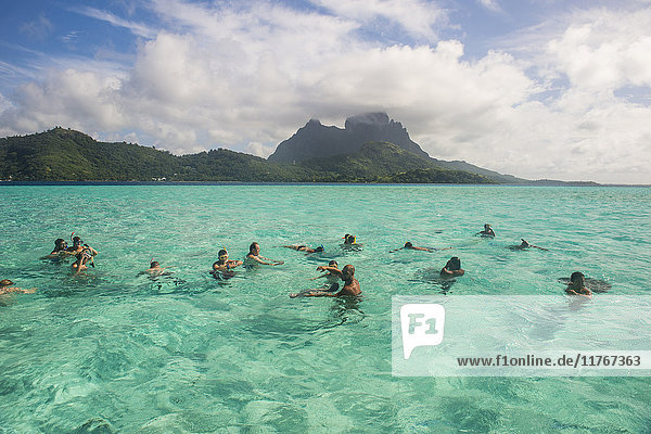 Touristen schwimmen mit Stachelrochen  Bora Bora  Gesellschaftsinseln  Französisch-Polynesien  Pazifik
