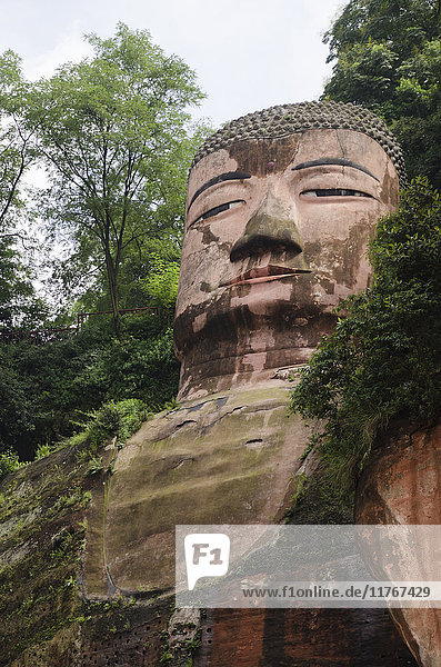 Riesenbuddha von Leshan  UNESCO-Weltkulturerbe  Leshan  Provinz Sichuan  China  Asien