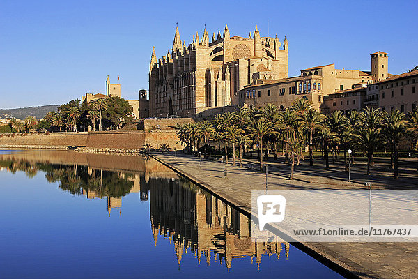 Parc de la Mar  Cathedral La Seu  Palma de Mallorca  Majorca  Balearic Islands  Spain  Mediterranean  Europe