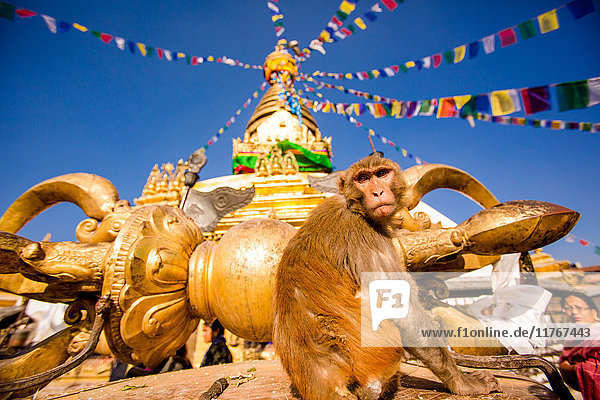 Heiliger Affentempel (Swayambhunath-Tempel)  UNESCO-Weltkulturerbe  Kathmandu  Nepal  Asien
