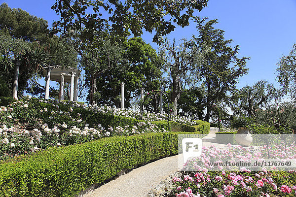 Rose Garden  Ephrussi de Rothschild Villa  Saint Jean Cap Ferrat  Alpes Maritimes  Cote d'Azur  French Riviera  Provence  France  Europe
