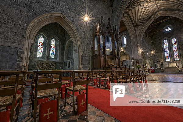 St. Canice's Cathedral  Kilkenny  Grafschaft Kilkenny  Leinster  Republik Irland  Europa