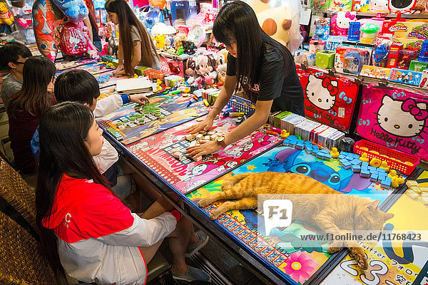 Hübsche Ingwerkatze  die sich über dem Spieltisch ausbreitet  während der Verkäufer Mahjong-Spielsteine für junge Kunden sortiert und aufstellt  Taipeh  Taiwan  Asien