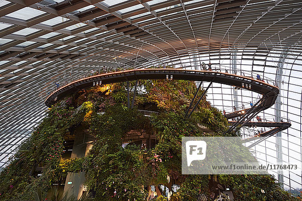 Inside the Cloud Forest biosphere at Gardens by the Bay  Singapore  Southeast Asia  Asia