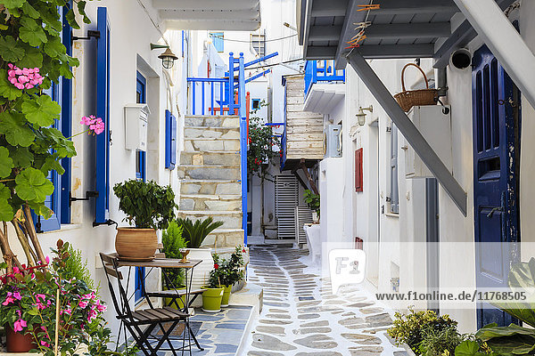 Enge Straße  weiß getünchte Gebäude mit blauer Farbe  Blumen  Mykonos Stadt (Chora)  Mykonos  Kykladen  Griechische Inseln  Griechenland  Europa