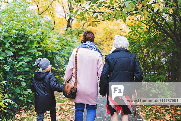 Rückansicht einer älteren Frau  die im Herbst mit Tochter und Urenkel im Park spazieren geht.