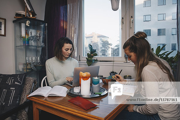 Young female students studying together in college dorm room