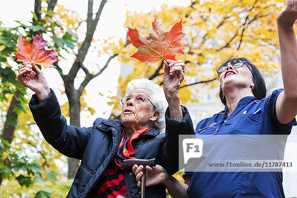 Seniorin und Hausmeisterin beim Spielen mit Ahornblättern im Park