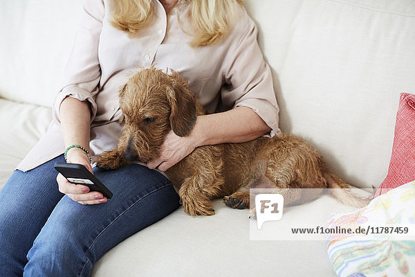 Mittelteil der Frau mit Hund beim Sitzen auf dem Sofa zu Hause mit Handy