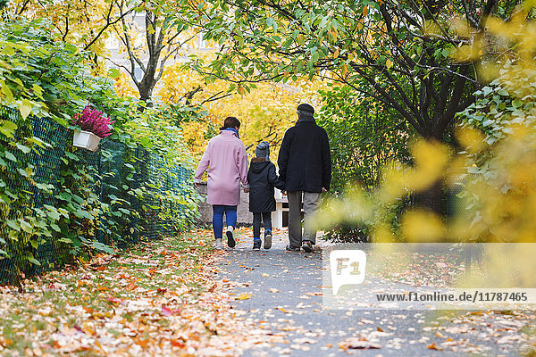 Rear view of boy walking with great grandfather and mother in park during autumn