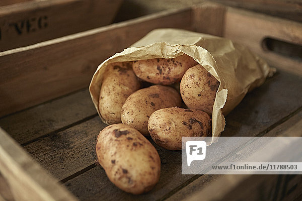 Still life close up rustic fresh  organic  healthy dirty potatoes in bag in wooden crate