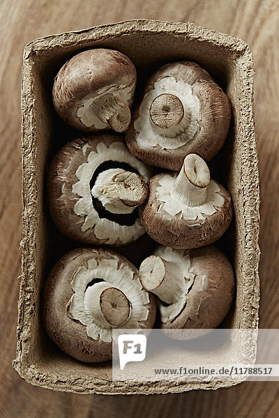 Still life fresh  organic  healthy  six brown mushrooms in container
