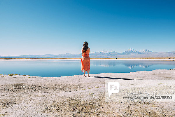 Chile  Atacama Desert  back view of woman standing on edge of Laguna Cejar
