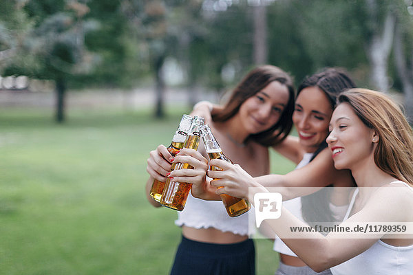 Friends in a park clinking beer bottles