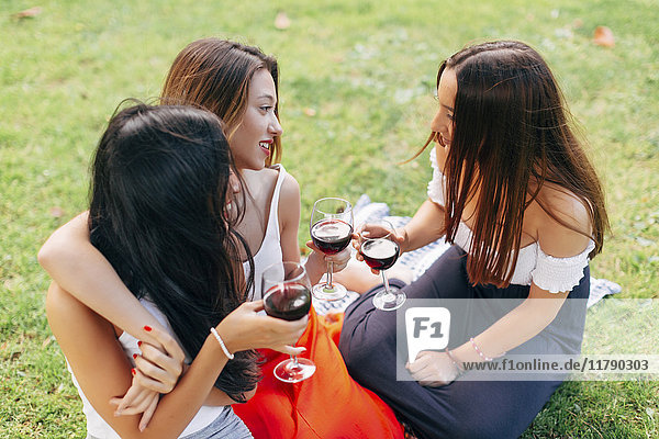 Freunde im Park genießen Rotwein