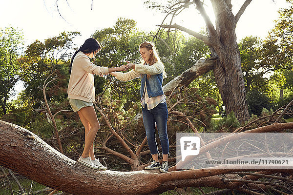 Two young woman balancing on tree trunk