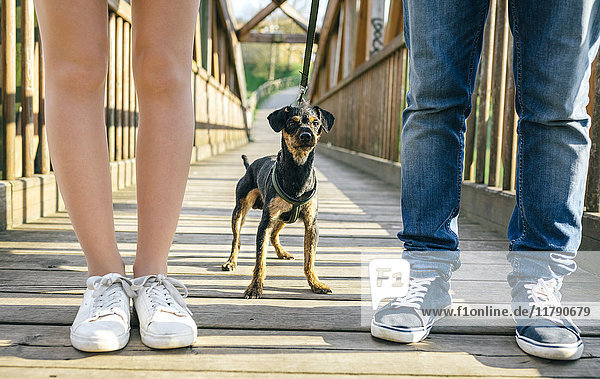 Hund zwischen den Beinen eines Paares auf einer Brücke