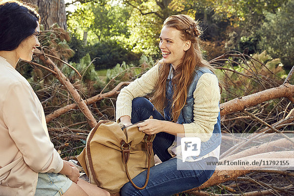 Zwei junge Frauen sitzen und reden auf einem Baumstamm.
