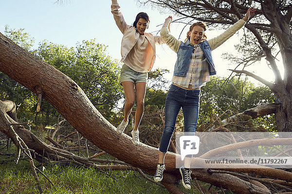 Two young women jumping hand in hand from tree trunk