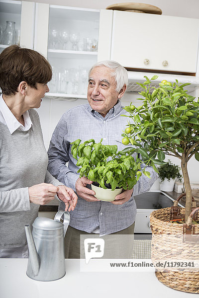 Seniorenpaar bewässert Topfpflanzen in der Küche