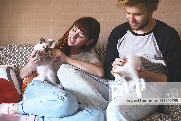 Junges Paar mit Kätzchen auf der Couch zu Hause