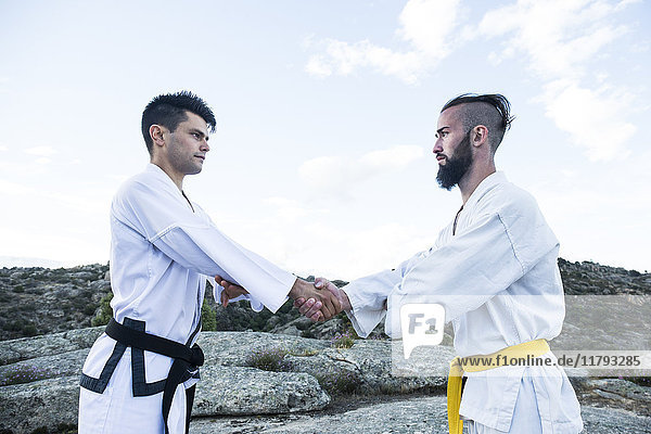 Men shaking hands during a martial arts training