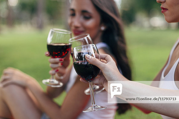 Friends in a park clinking red wine glasses