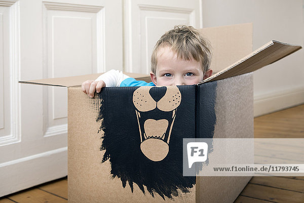 Junge in einem mit einem Löwen bemalten Karton